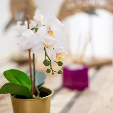 Casa Mami- A Spanish Oasis In Lajares For Families & Friends Villa Lajares