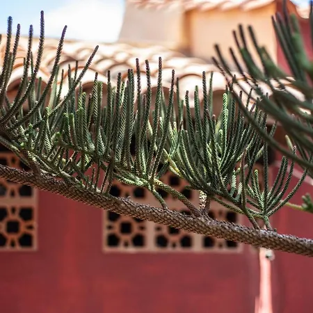Vila Casa Mami- A Spanish Oasis In Lajares For Families & Friends *
