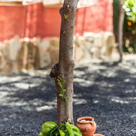 Casa Mami- A Spanish Oasis In Lajares For Families & Friends Willa